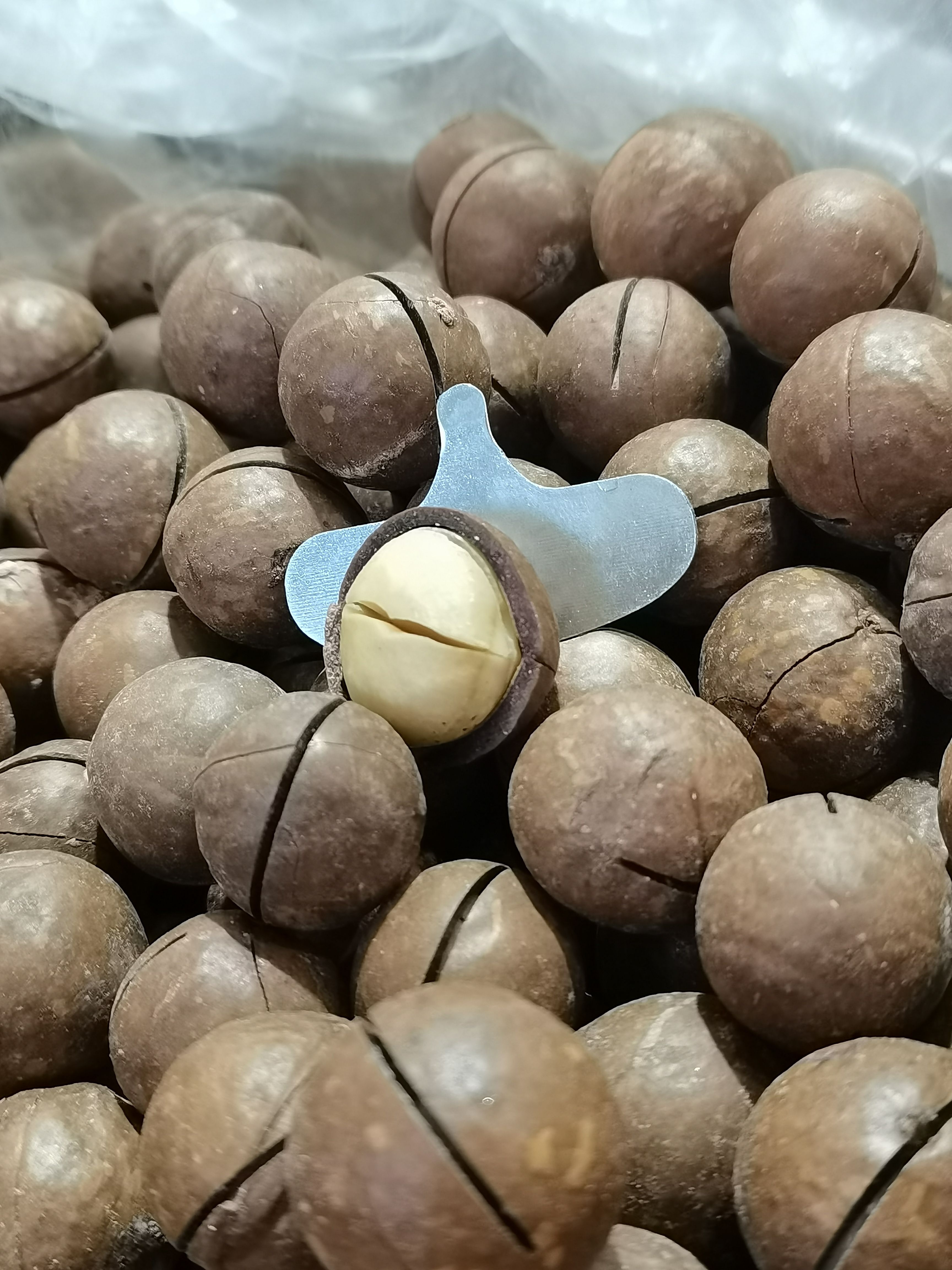新货奶油味夏威夷果特大夏果