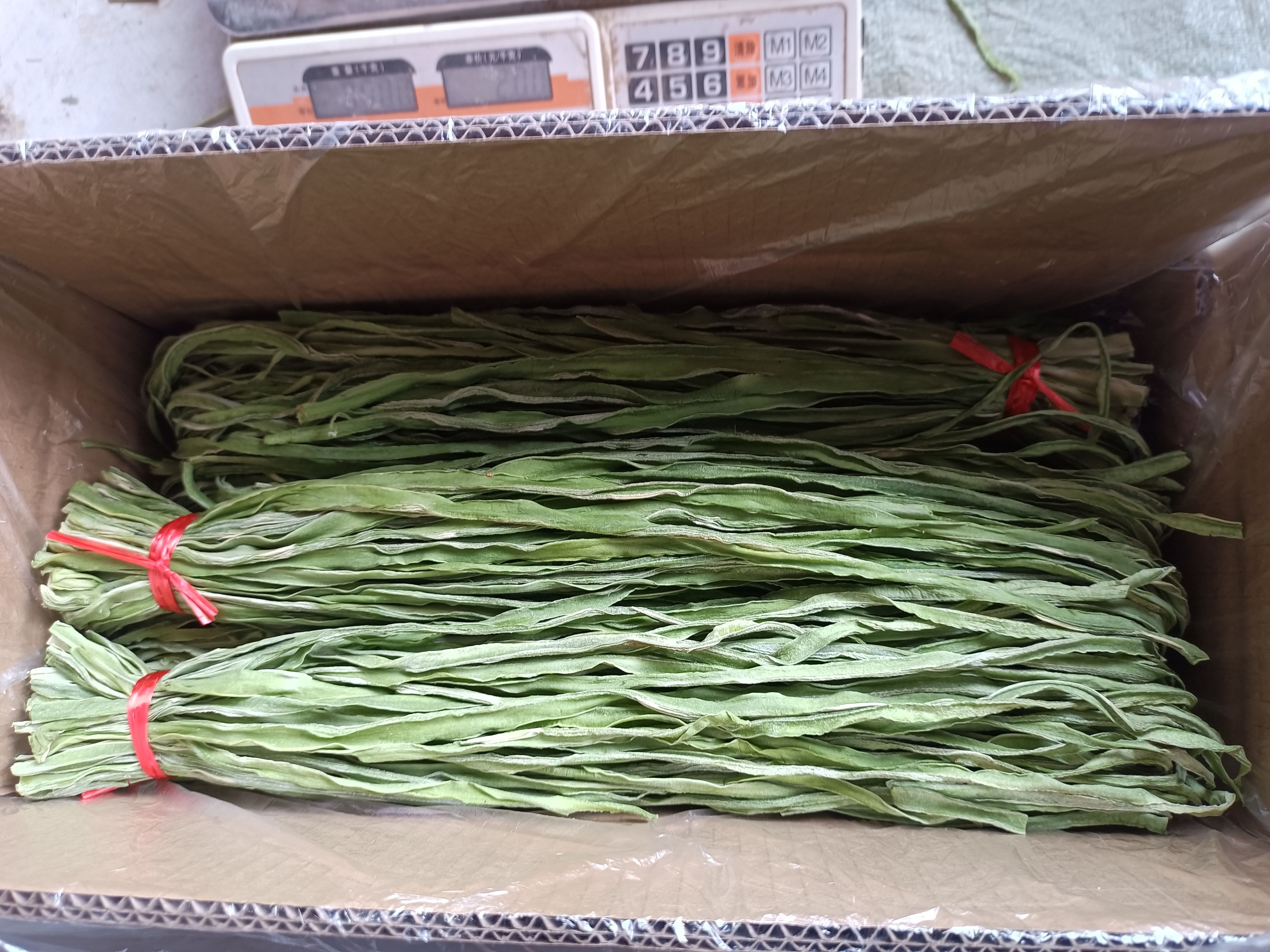  精品贡菜去头去尾火锅店用