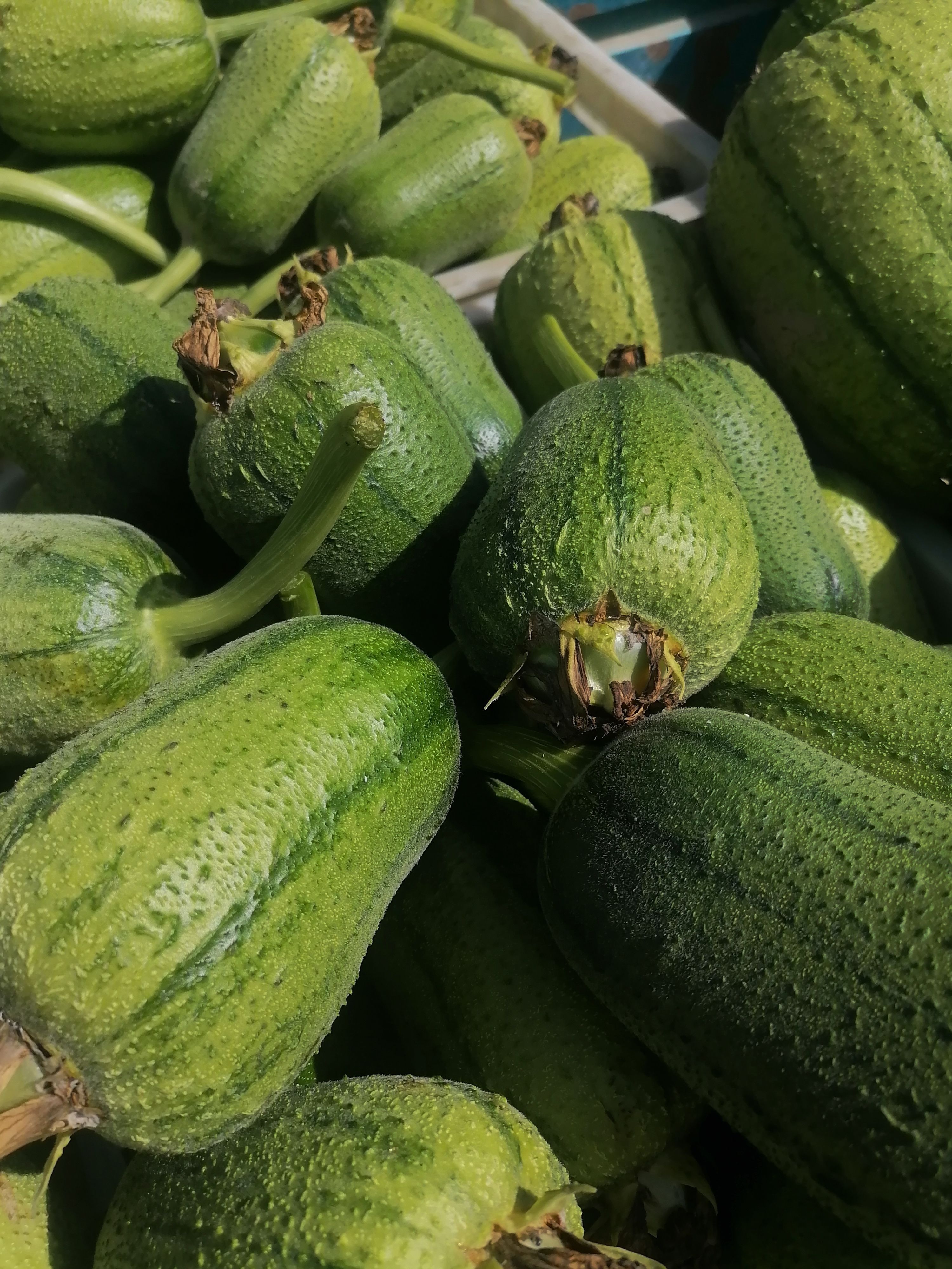 特菜苹果肉丝瓜