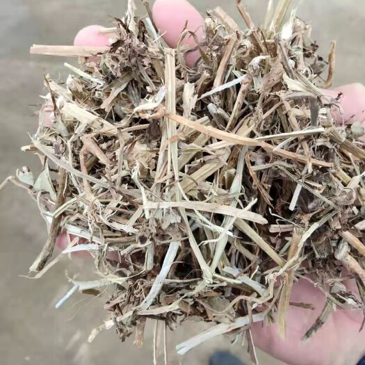 正阳县 优质花生秧价格美丽，欢迎各位老板咨询下单
