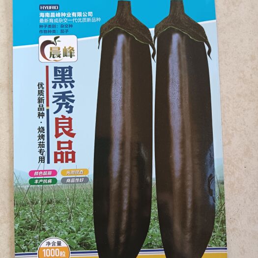 茄子种子  黑秀良品，烧烤茄，品质保证，厂家直销