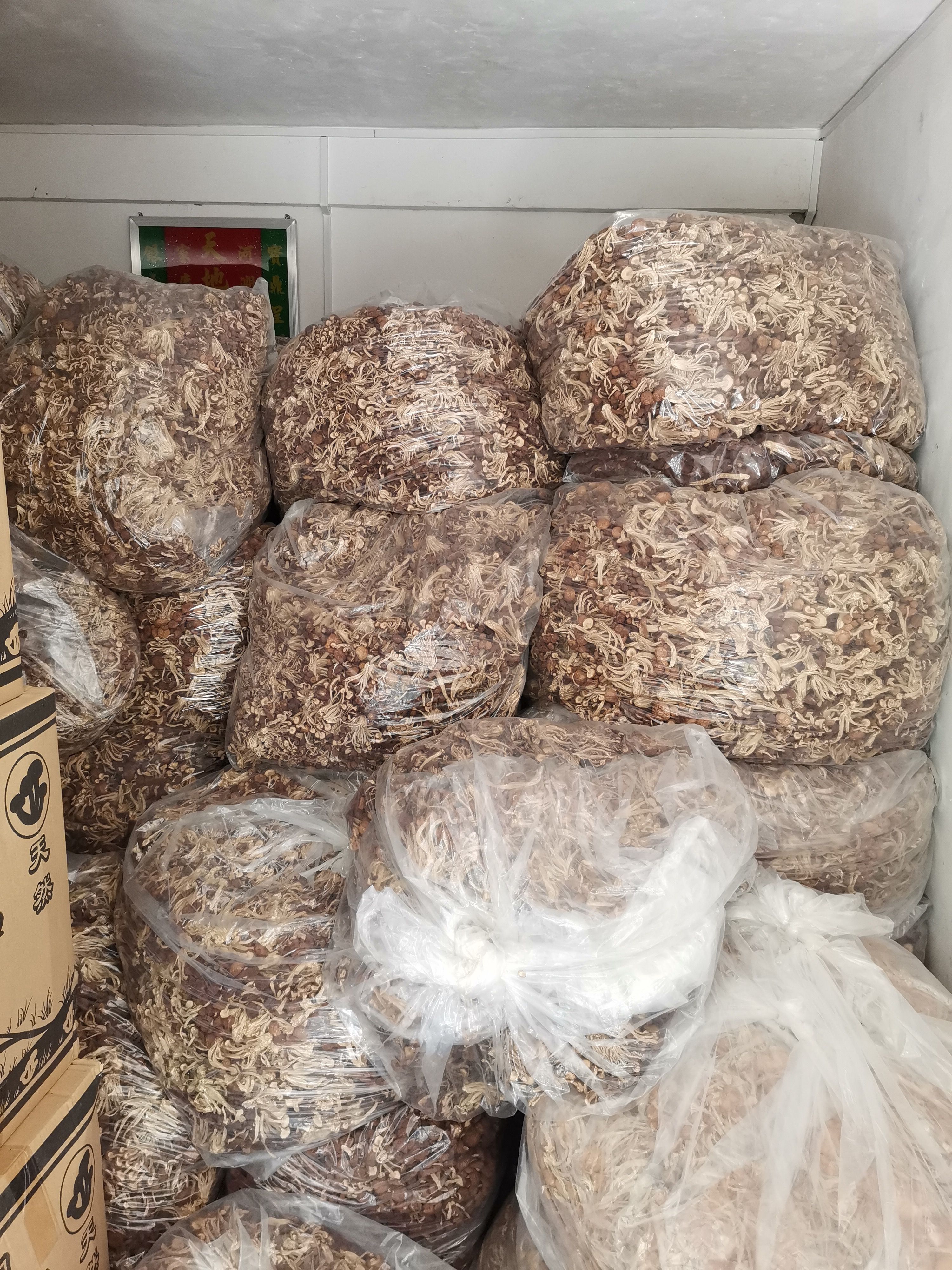 广昌5号茶树菇 江西省抚州市广昌县 8~10cm 未开伞 干