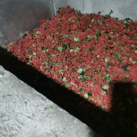 松潘县四川茂汶大红袍