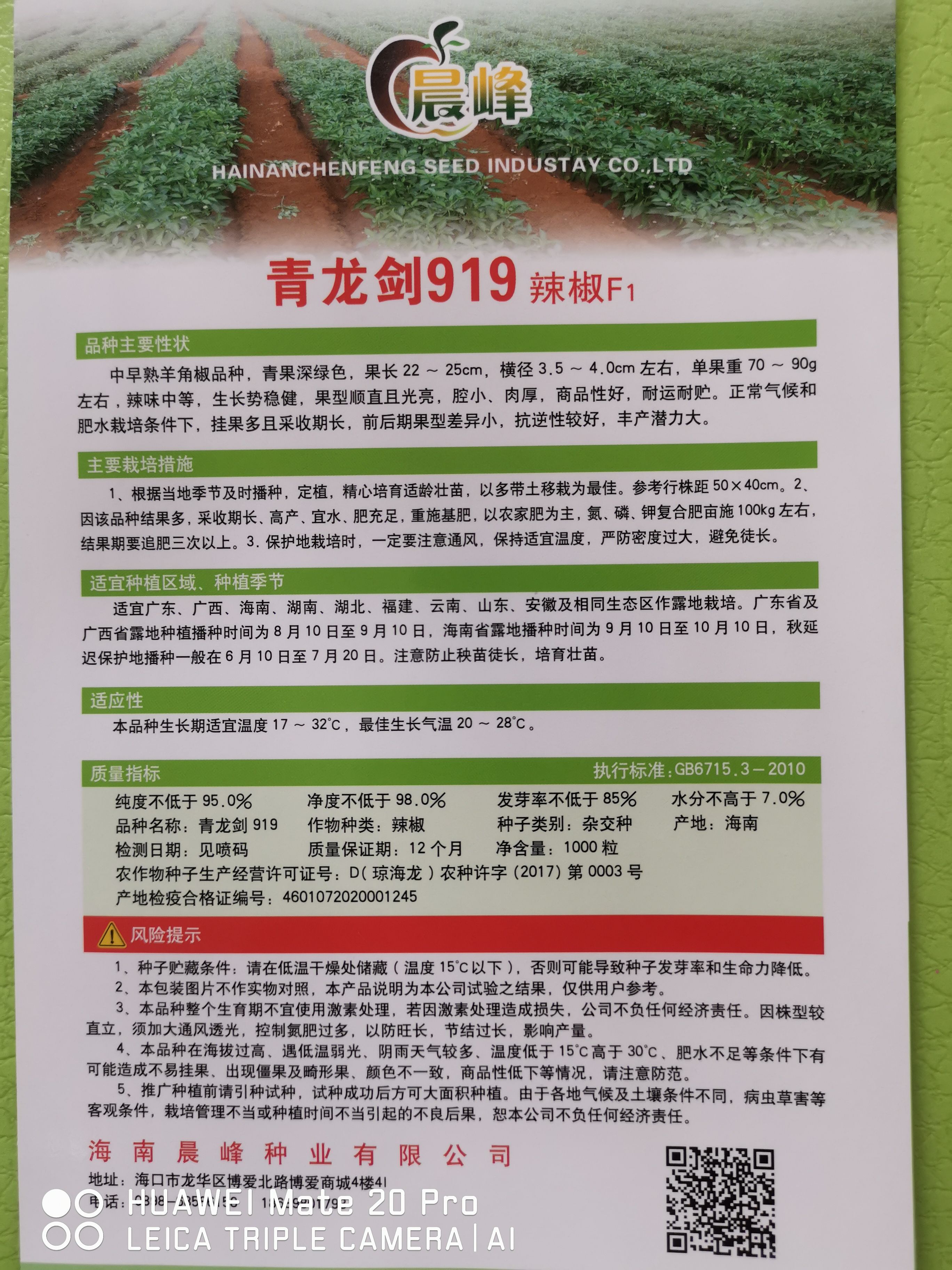 尖椒种子  青龙剑919，中早熟羊角椒顺直且光亮，品种保证，厂家直销