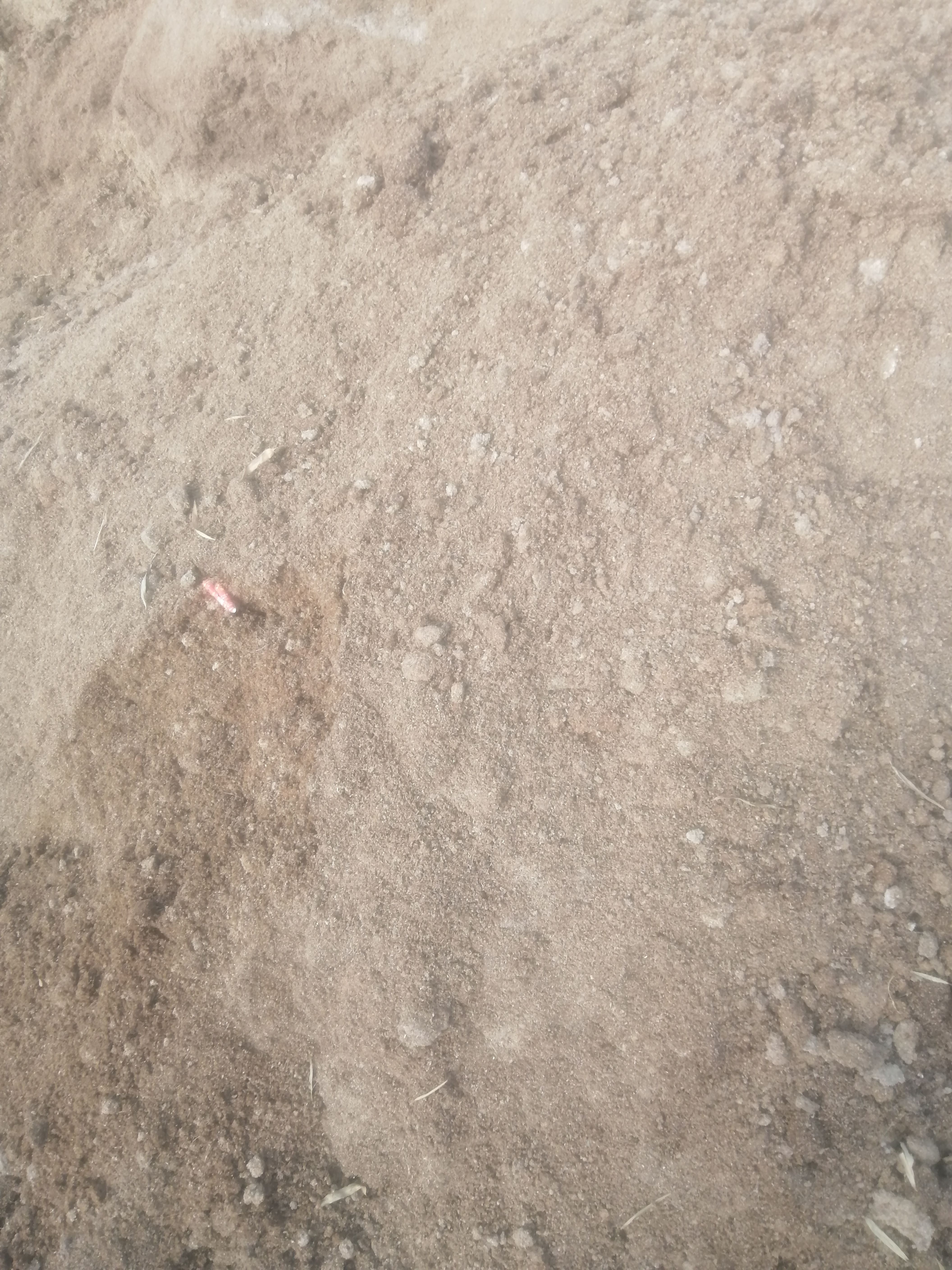 微生物有机肥  猪粪有机肥