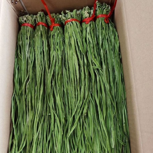 精品贡菜,主接食品厂源头发货 江苏徐州特色农产品蔬菜供应