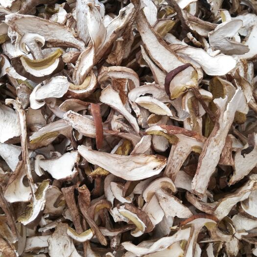 南华县 美味牛肝菌，各种等级价位都有，欢迎咨询了解