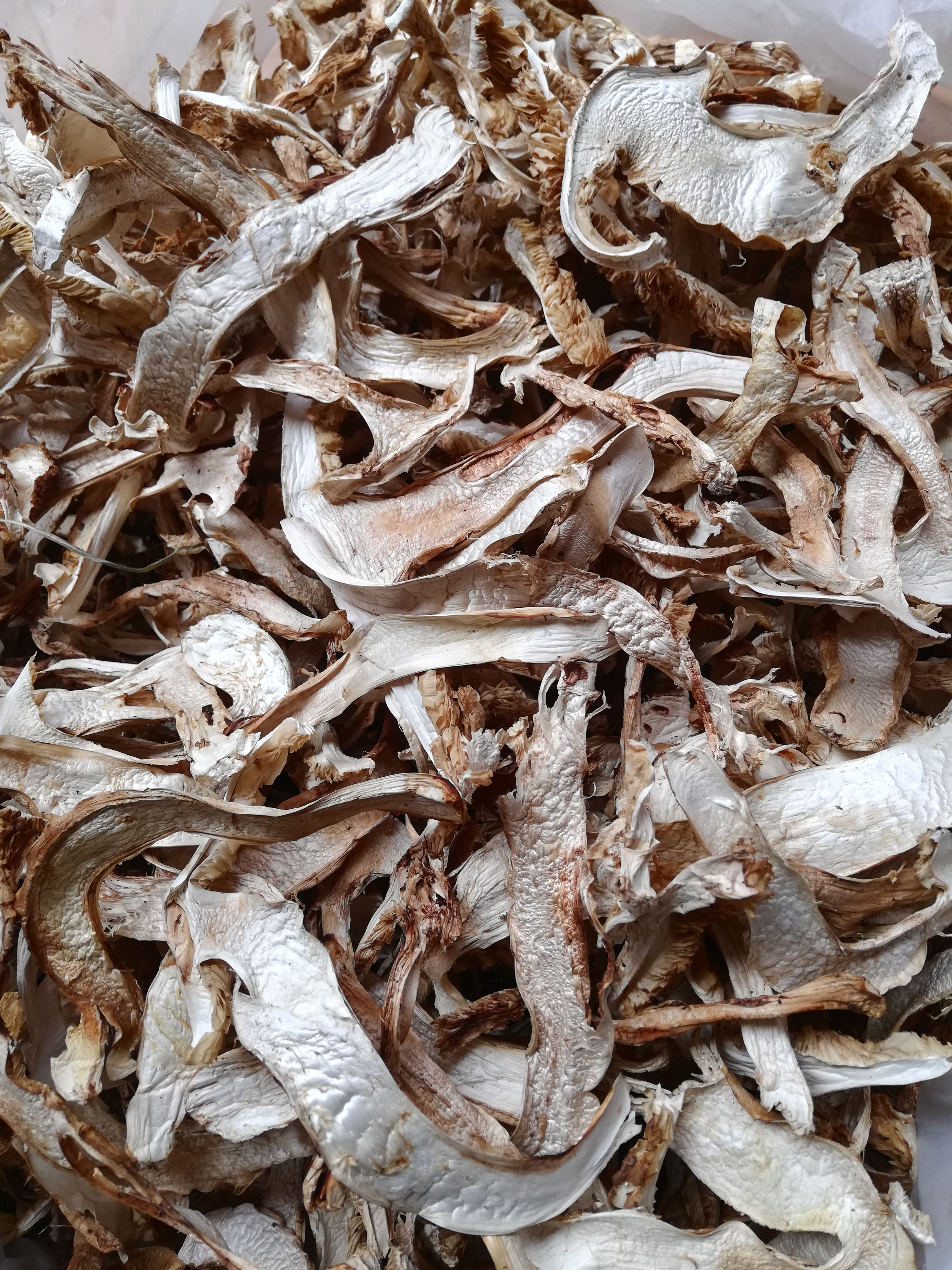 干松茸 松茸干片，今年新货