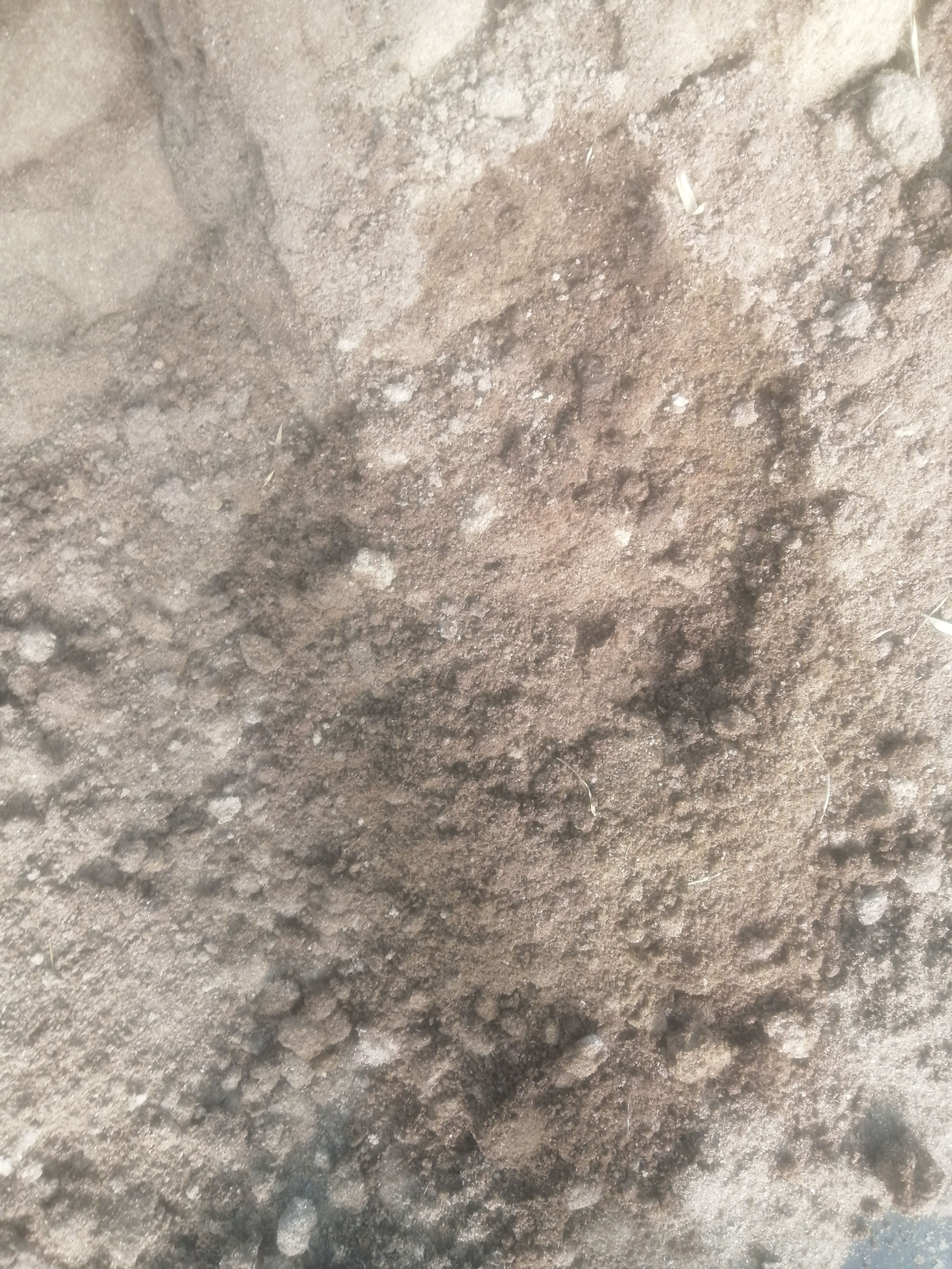 微生物有机肥  猪粪有机肥