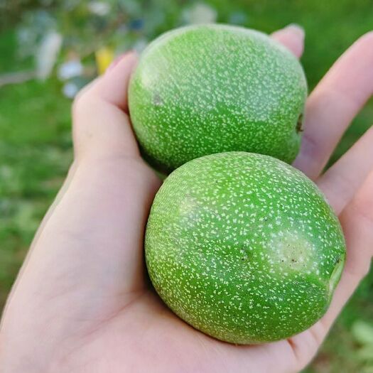 石楼县自家薄皮核桃