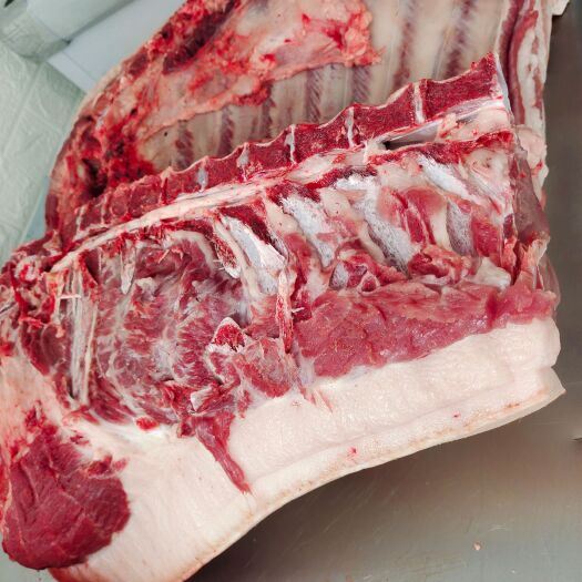 达拉特旗猪肉类 农村纯粮食喂养隔年猪肉