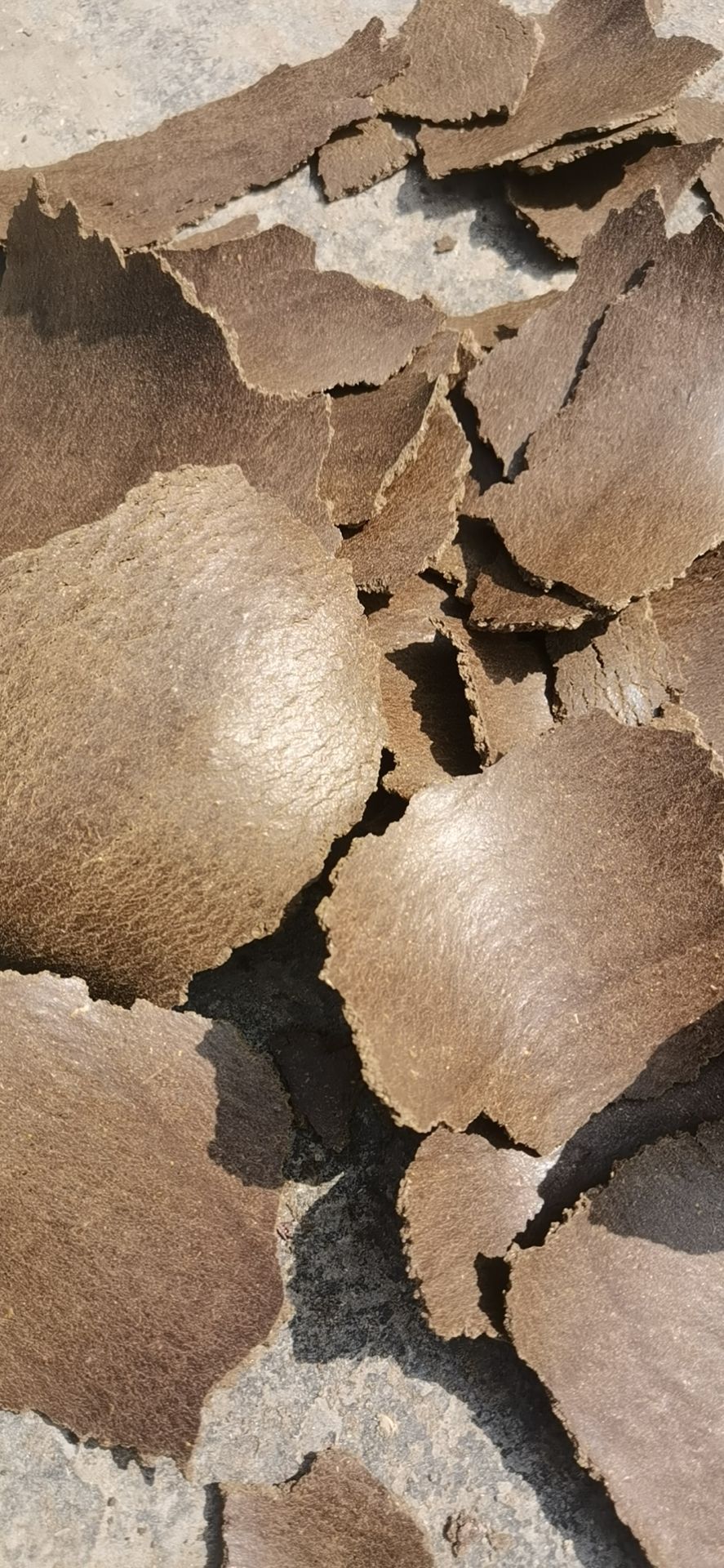 菜籽饼饲料 菜籽饼