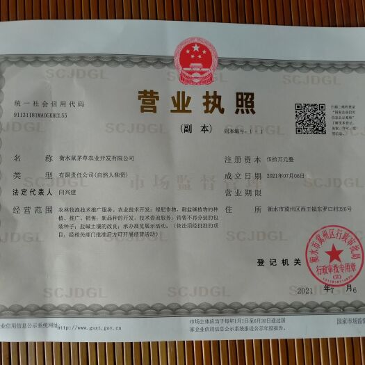“真假”鼠茅草种子，怎样辨别？鼠茅草，鼠茅草种子