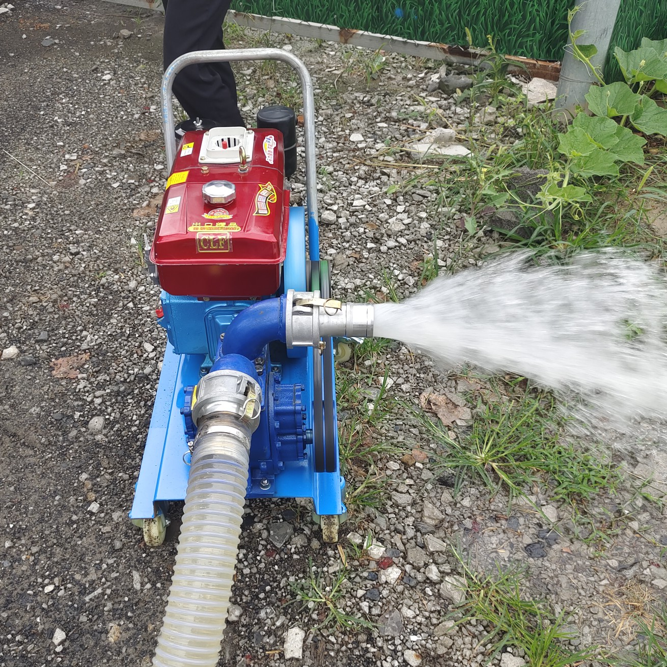 抽水排污直吸直排抽水泵，养殖场粪便清理抽粪泵，体积小吸力大