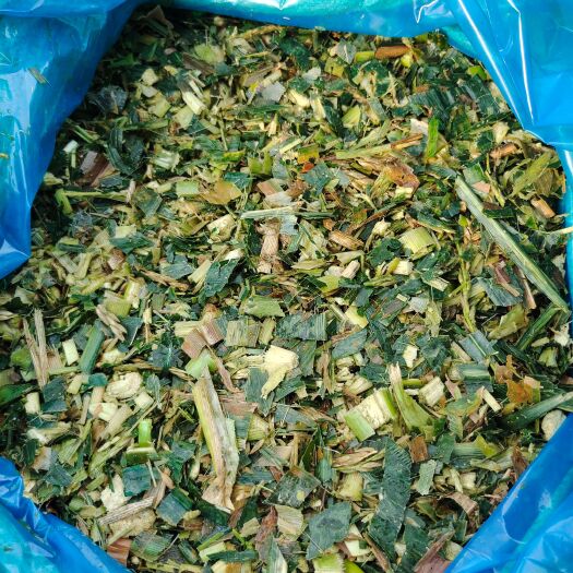 上林县【玉米秸秆】压包袋装 青储饲料 厂家直销 质量保证 大量供应