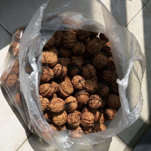 腾冲市山核桃  云南野核桃，不施肥，不打药老品种古核桃树果实，皮薄，核桃香甜