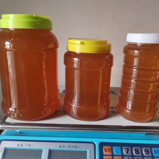 济南纯蜂蜜 养蜂人 蜂产品 蜂蜜 土蜂蜜农户