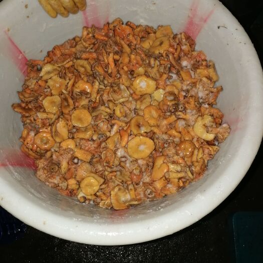 城固縣 野生松樹菌，鹽漬鮮貨，味美價廉，歡迎來電