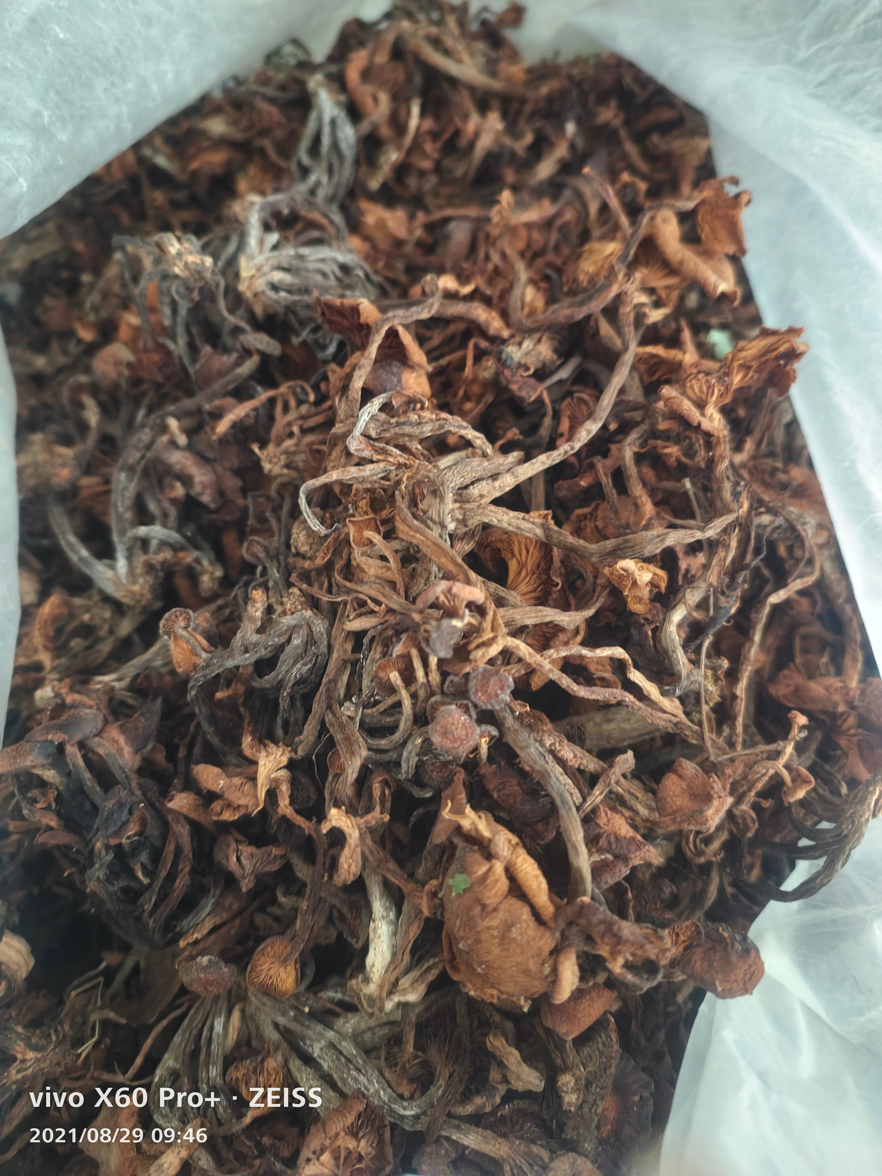 杂菌，林下食用菌杂菌（石灰白菌，鹅掌秋，奶浆菌）混装干品