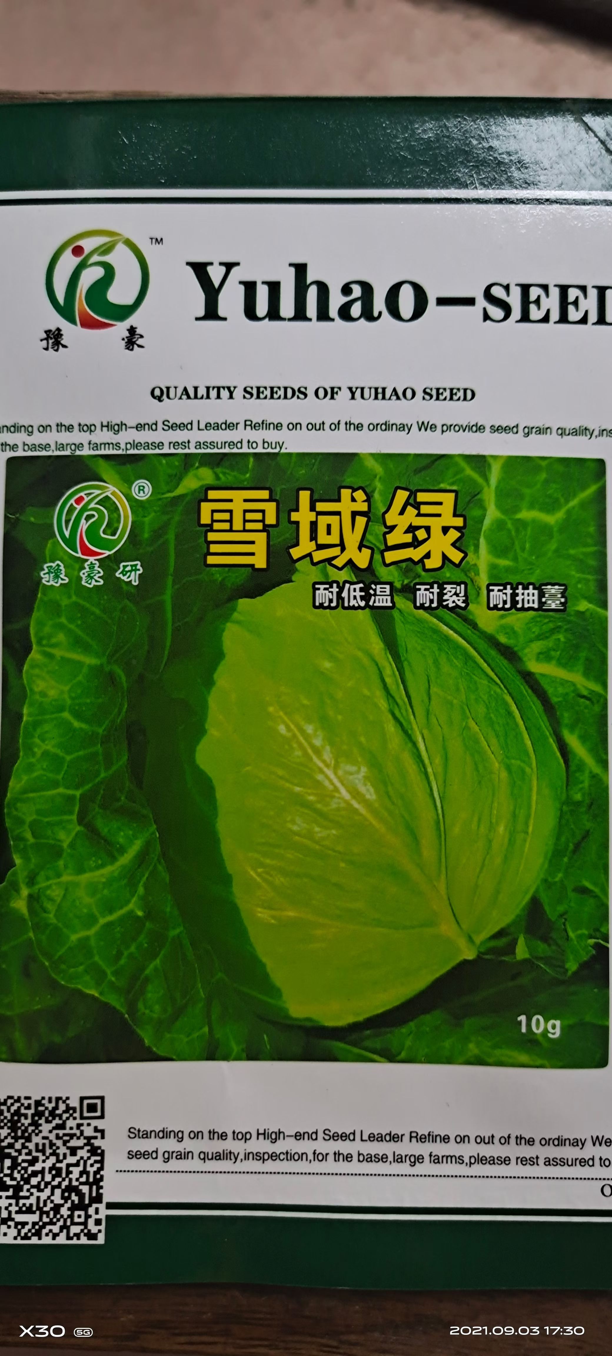包菜种子 越冬甘蓝种子