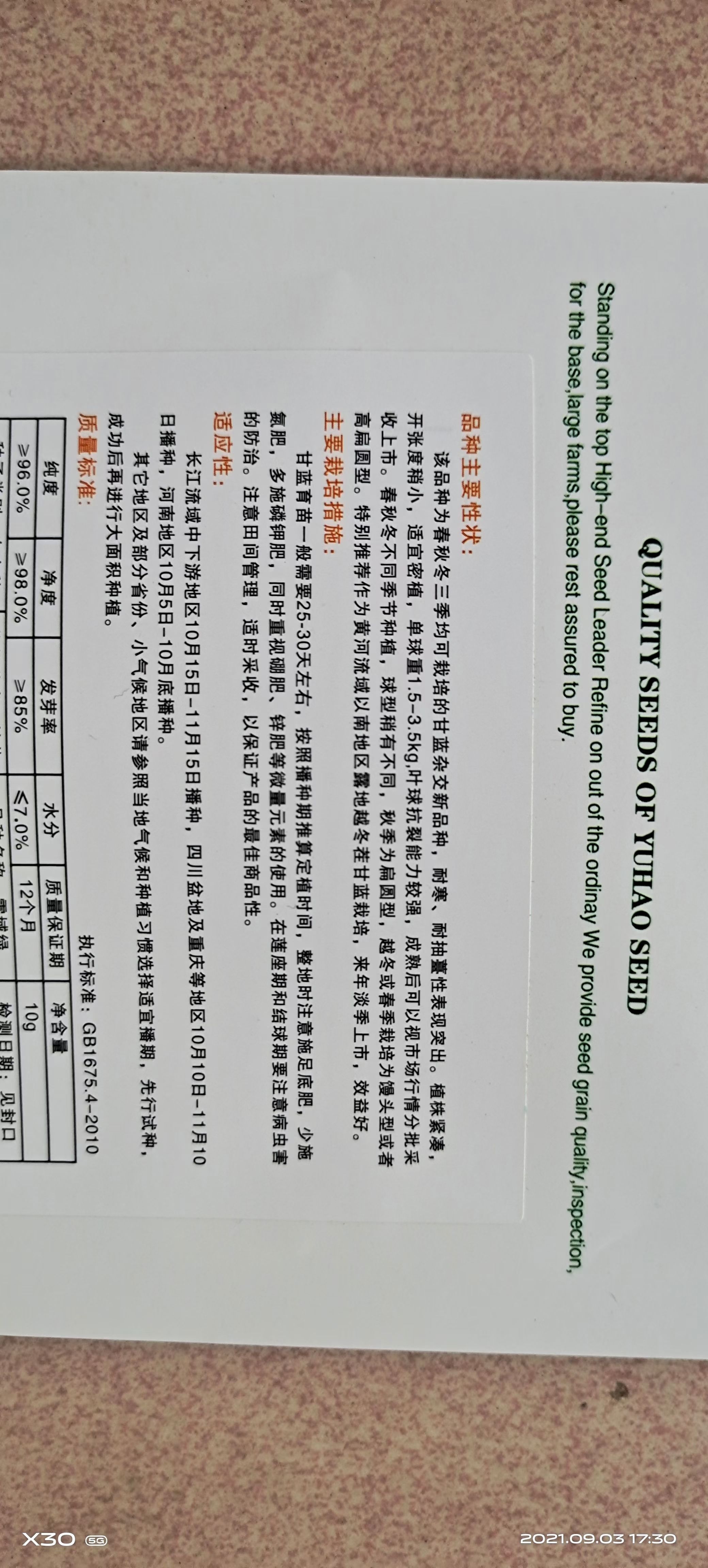 包菜种子 越冬甘蓝种子