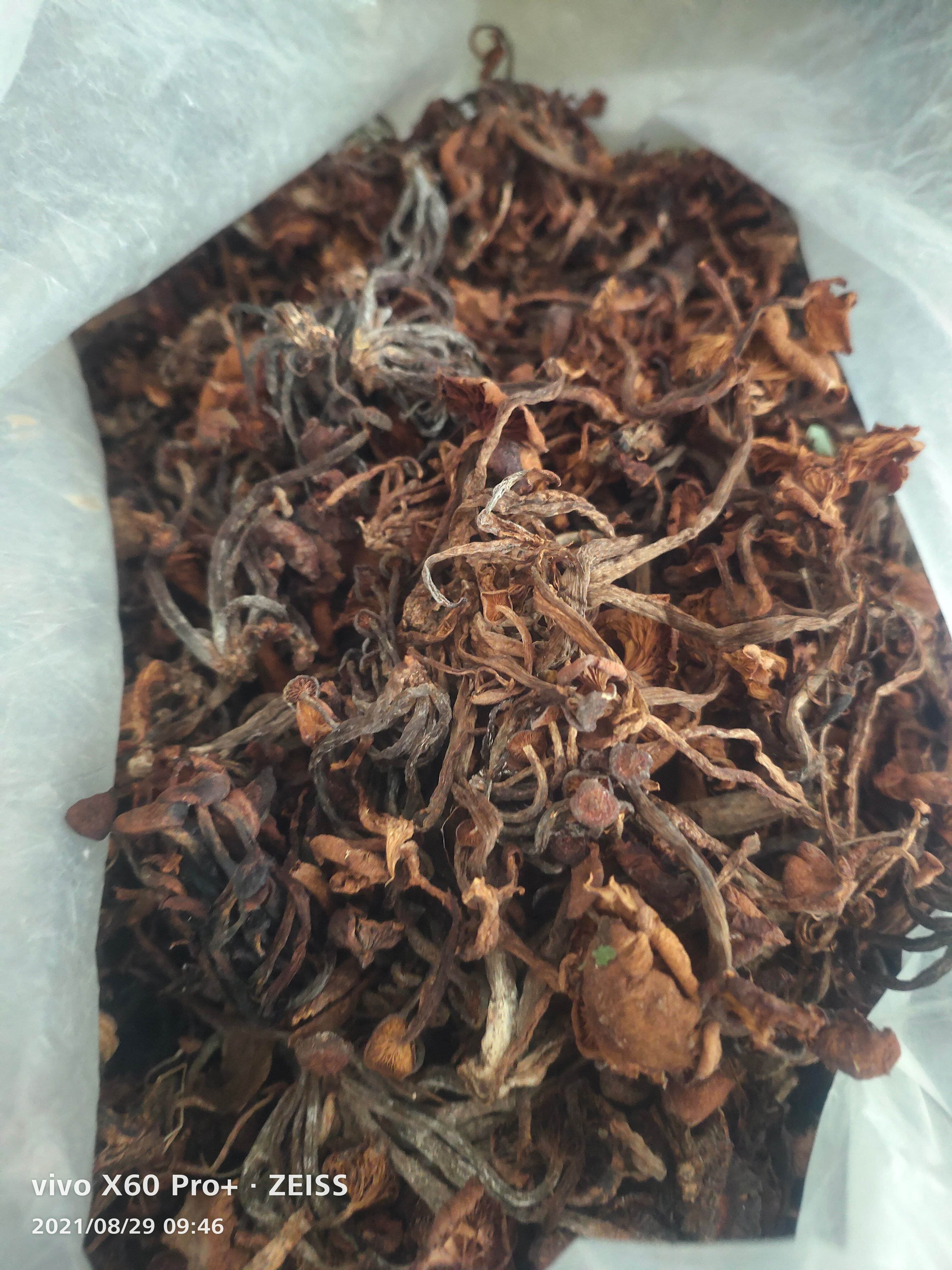 杂菌，林下食用菌杂菌（石灰白菌，鹅掌秋，奶浆菌）混装干品
