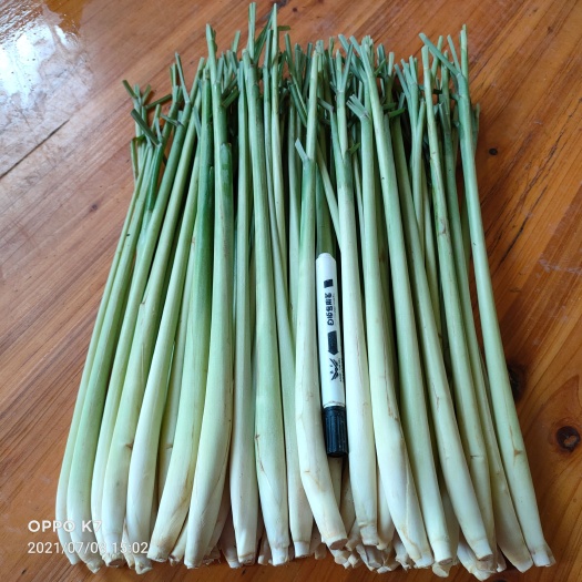 东兴市广西新鲜柠檬香茅草