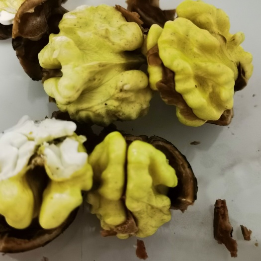 左权县青皮核桃 核桃园，手工摘取，求购，质量好。