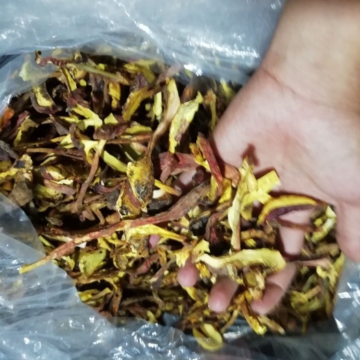 南华县红葱菌 葱菌干片