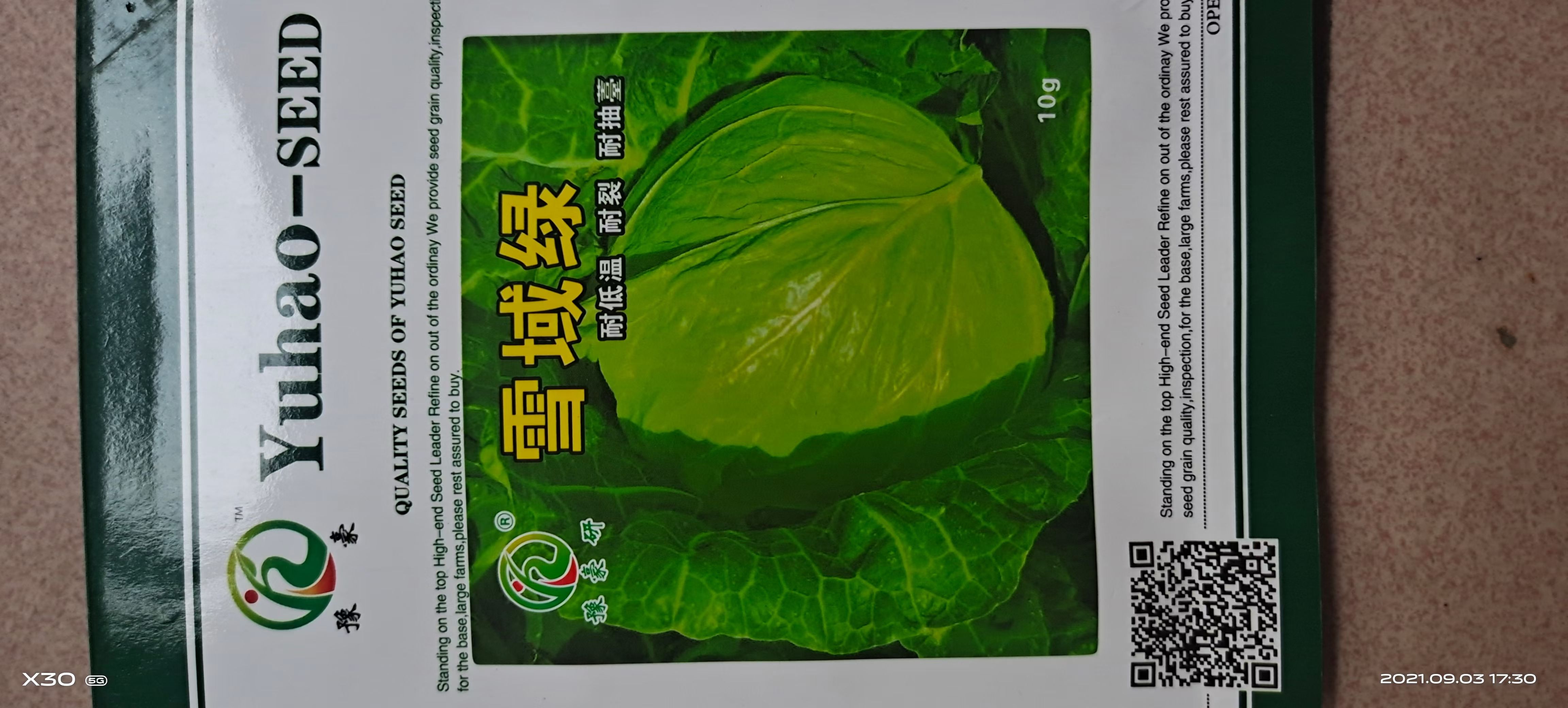 包菜种子 越冬甘蓝种子