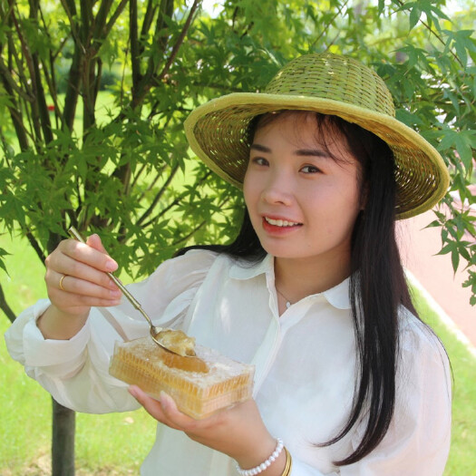 长葛市蜂巢蜜纯正天然蜂巢蜜嚼着吃蜂蜜盒装500克农家自产百花蜂蜜