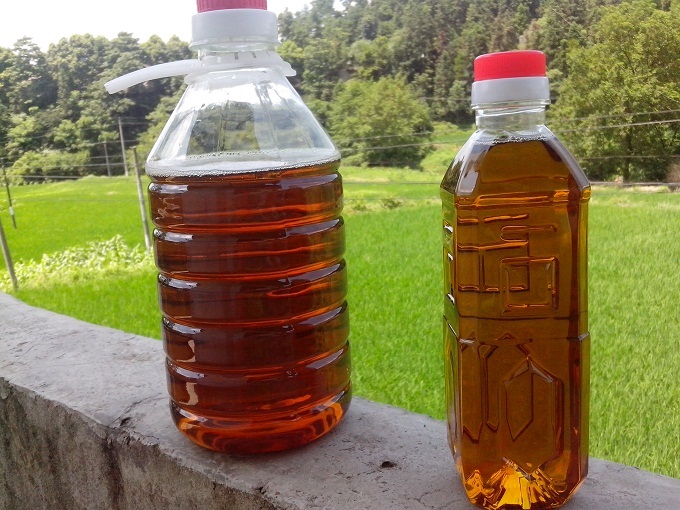 万年县 山茶油