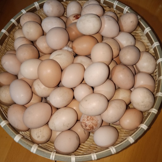 上海正宗皖南小脚土鸡 土鸡蛋 皖南土鸡蛋 儿童鸡蛋 孕妇鸡蛋