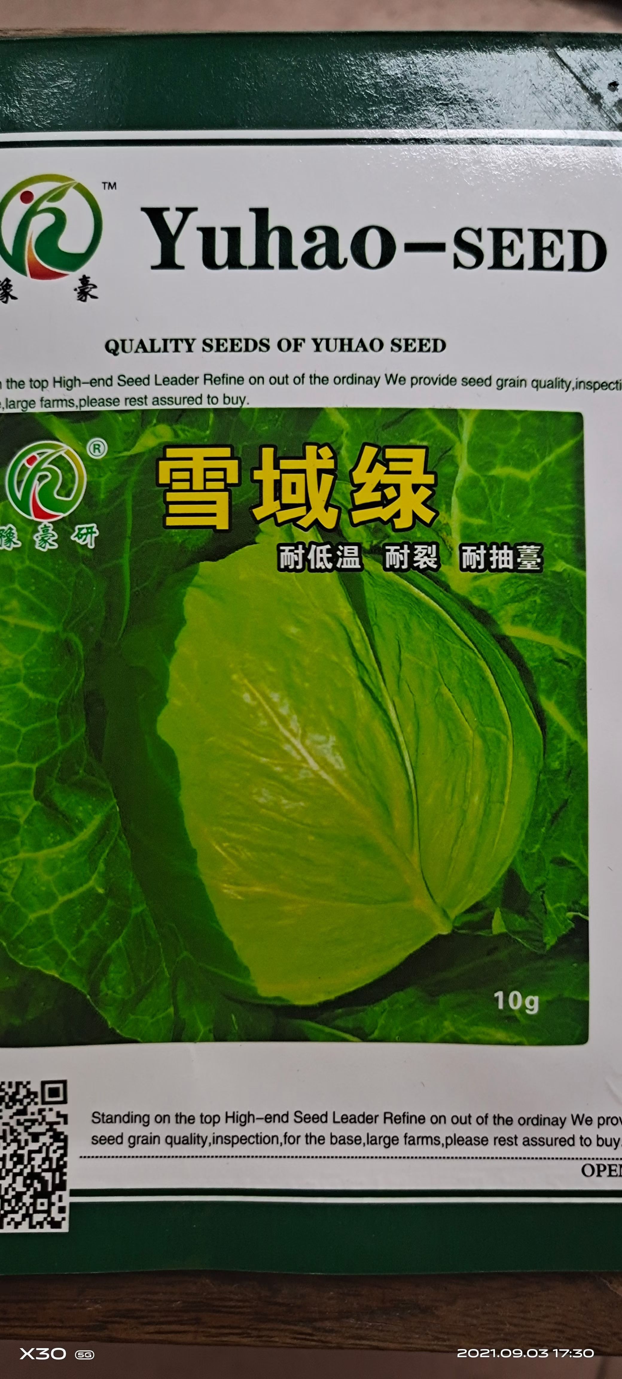 包菜种子 越冬甘蓝种子