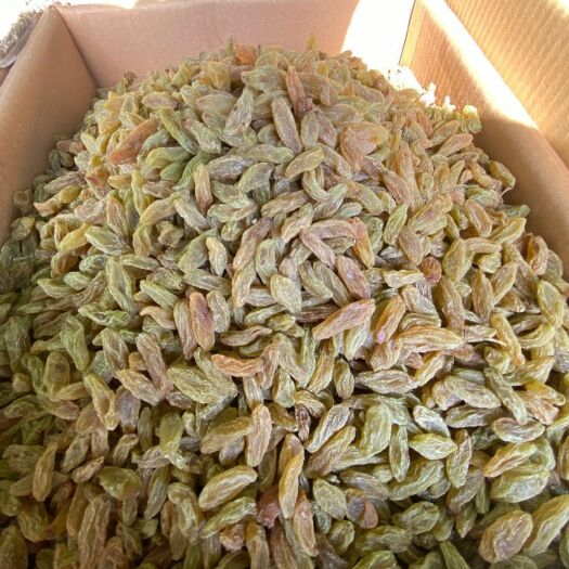 阿克陶县黑加仑葡萄干  超大颗粒绿香妃，红香妃 超大颗粒，香妃王