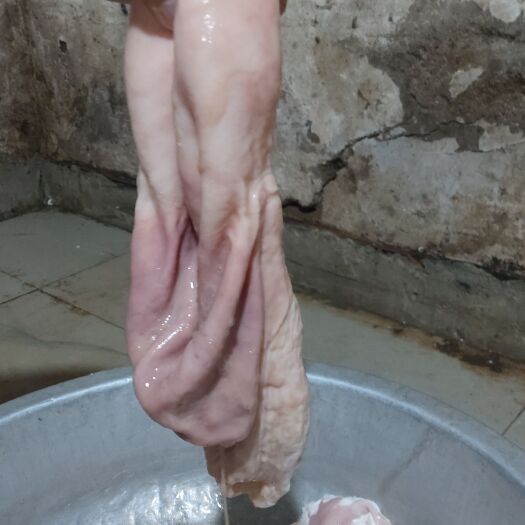 遵义新鲜农村土肥猪肚，肉厚，纯干货，少油，每天二百斤