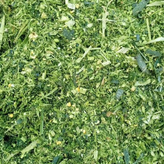 青储草 牛 羊 马