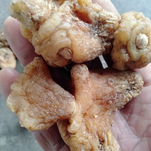 新平县滇黄精  黄精中大个选货