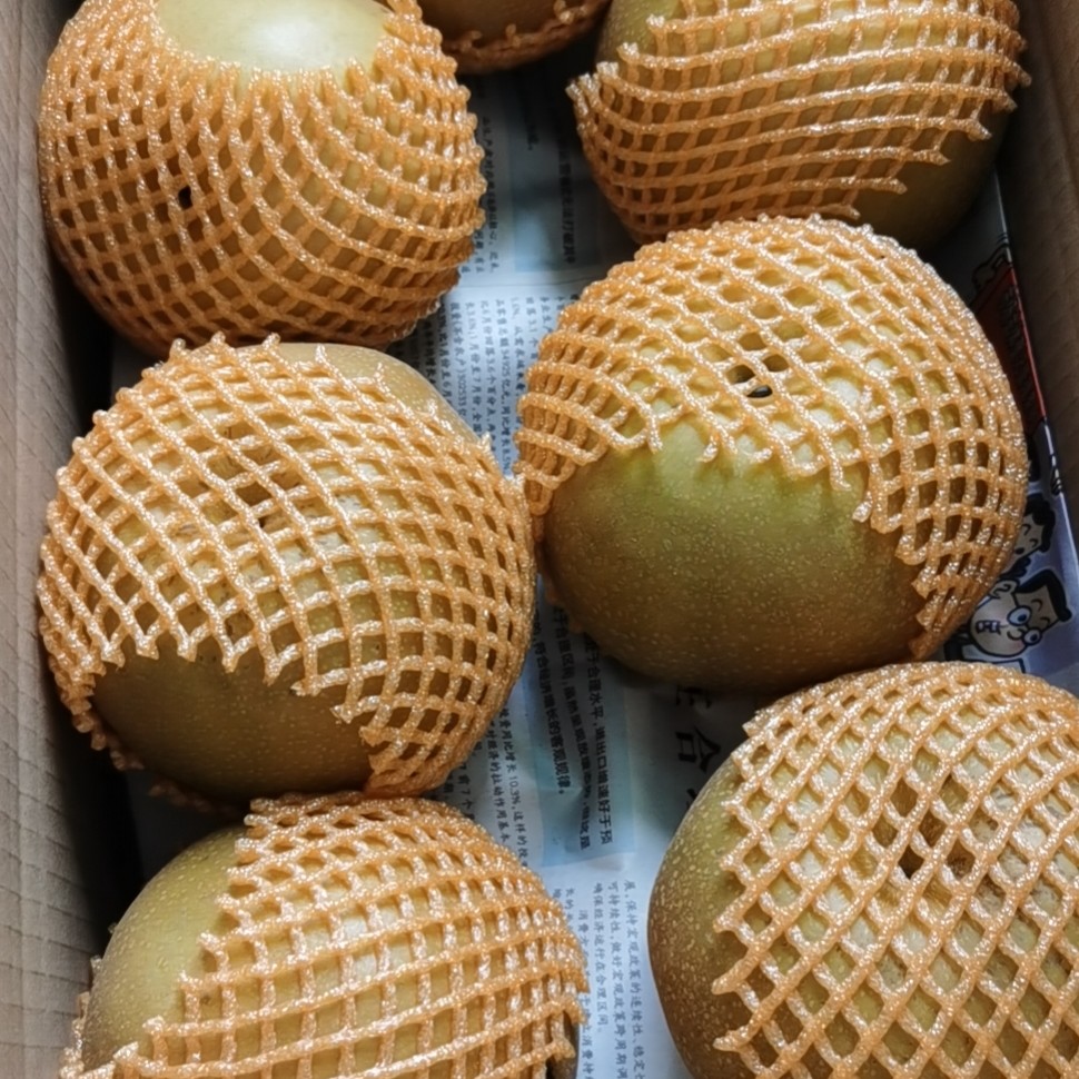 [梨批发] 长十郎梨,新高梨,香南梨价格1.2元/斤 - 惠农网