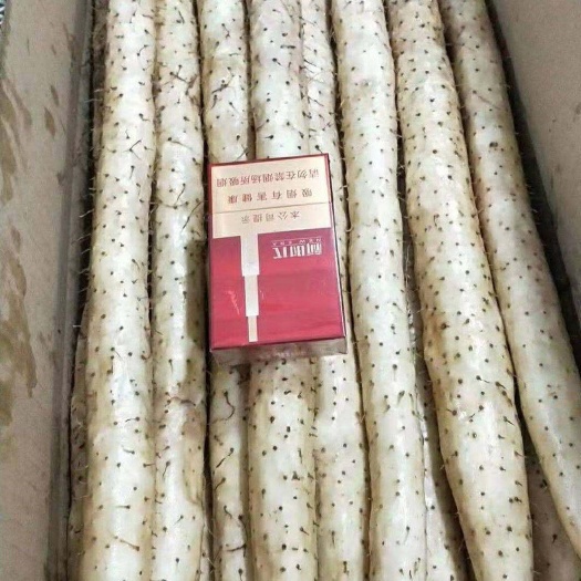 安平县小白嘴山药  小白嘴白山药礼盒河北产地供应链直供美团优选多多买菜拼多多电商