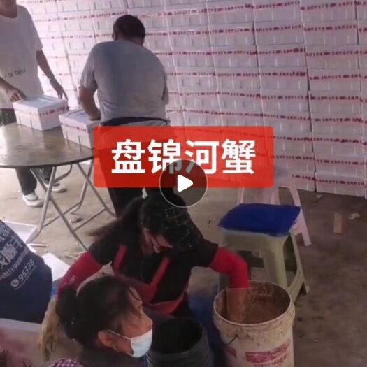 盘山县盘锦稻田蟹团购小包装2斤3斤一箱打包需要的老板下单