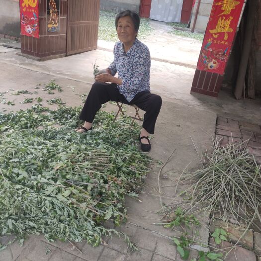 宝鸡产地直发艾叶  全科艾草 干艾叶优家用泡脚泡澡祛湿气艾叶