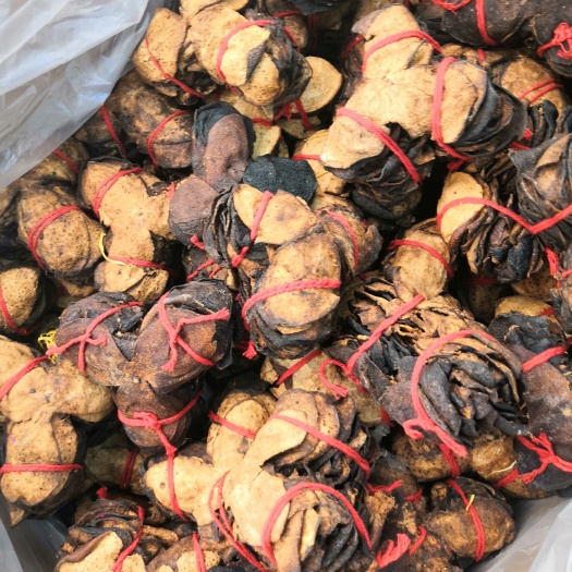 陈皮