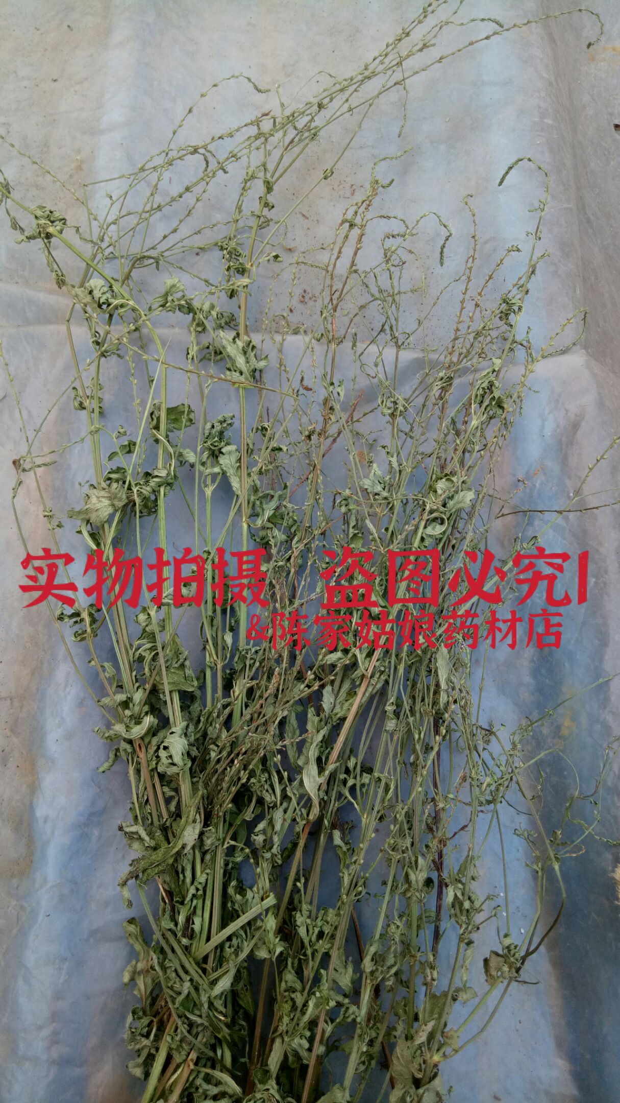 马鞭草干货  无硫不打药请放心食用！