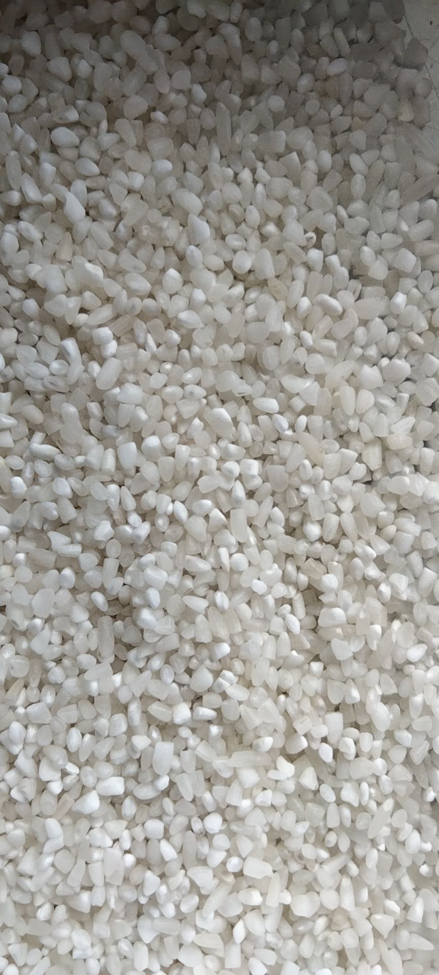 碎米  21年中杂碎现货一挂，各种粉专用，无黄无黑干净无杂质