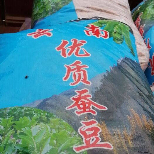  蚕豆