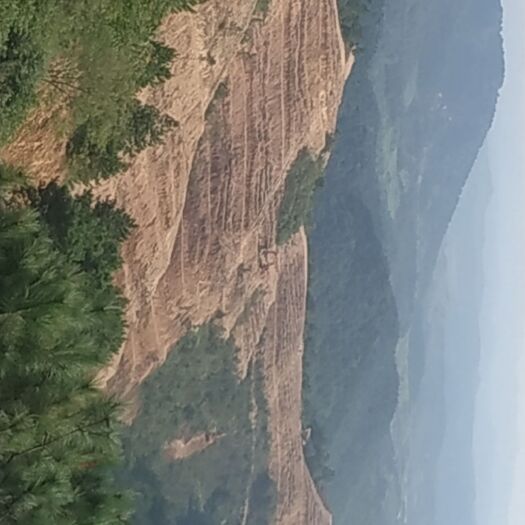 广水市疏林地 光伏用地