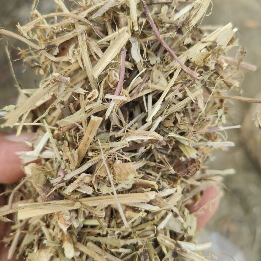 汝南县 花生秧