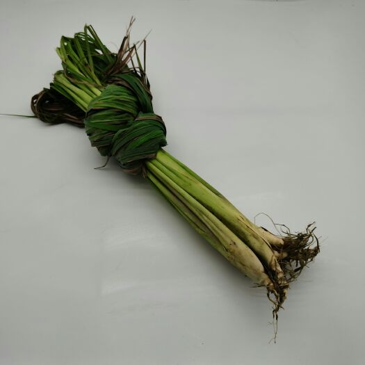 南宁中药材香茅 基地直供带杆带叶新鲜香茅草