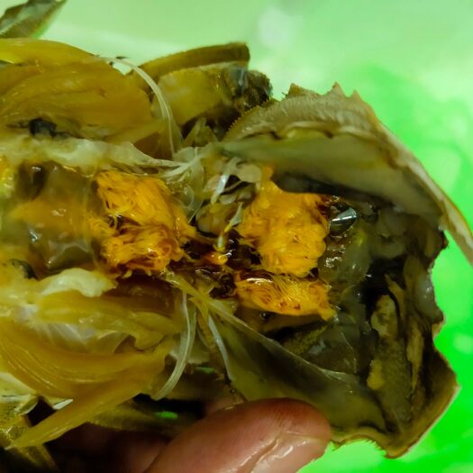 兴化市 大闸蟹，已经到货了